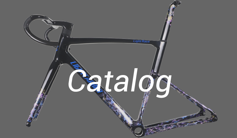 LightCarbon Bike Frame och Carbon Wheels e-katalog